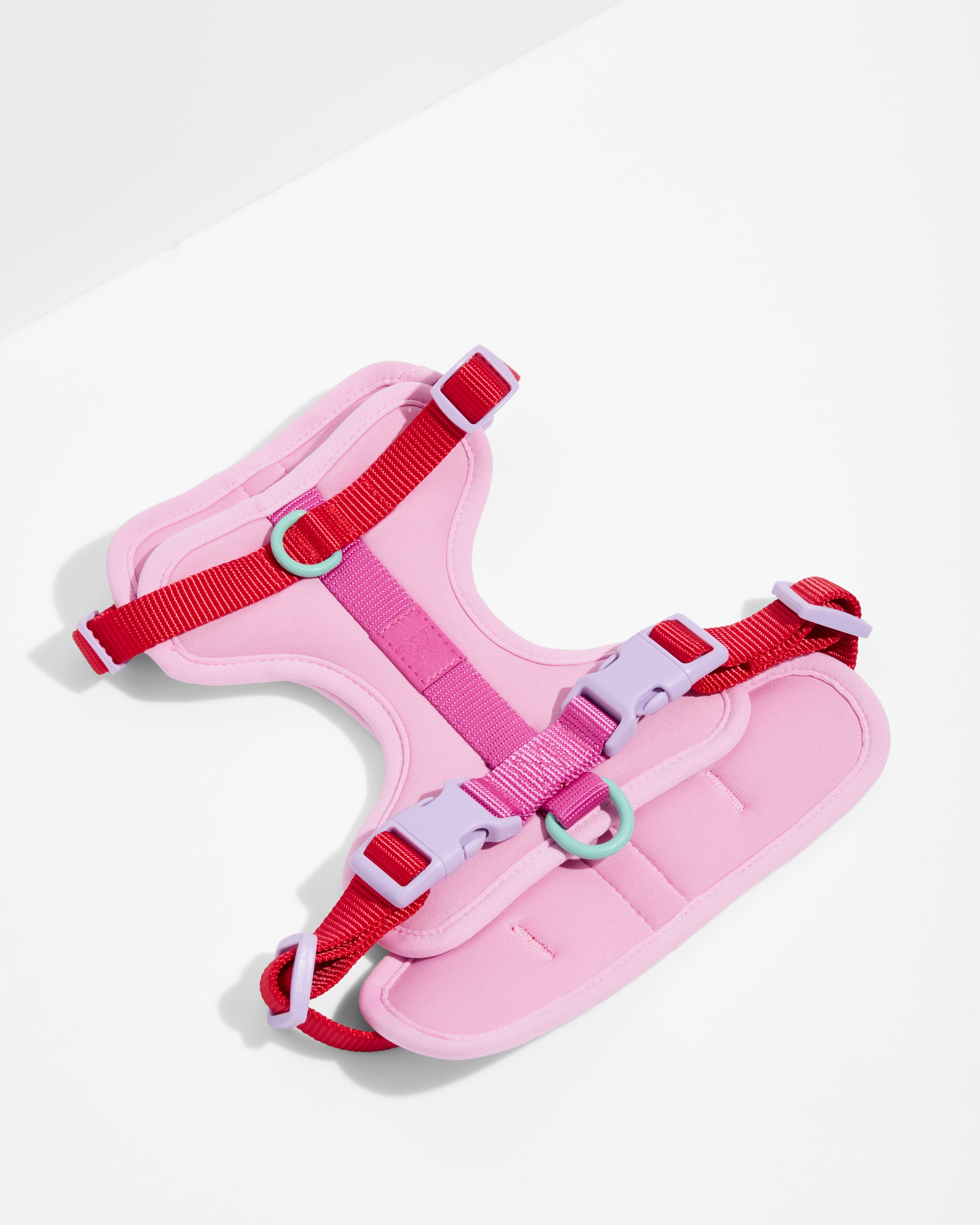 Cushioned dog harness on a dog