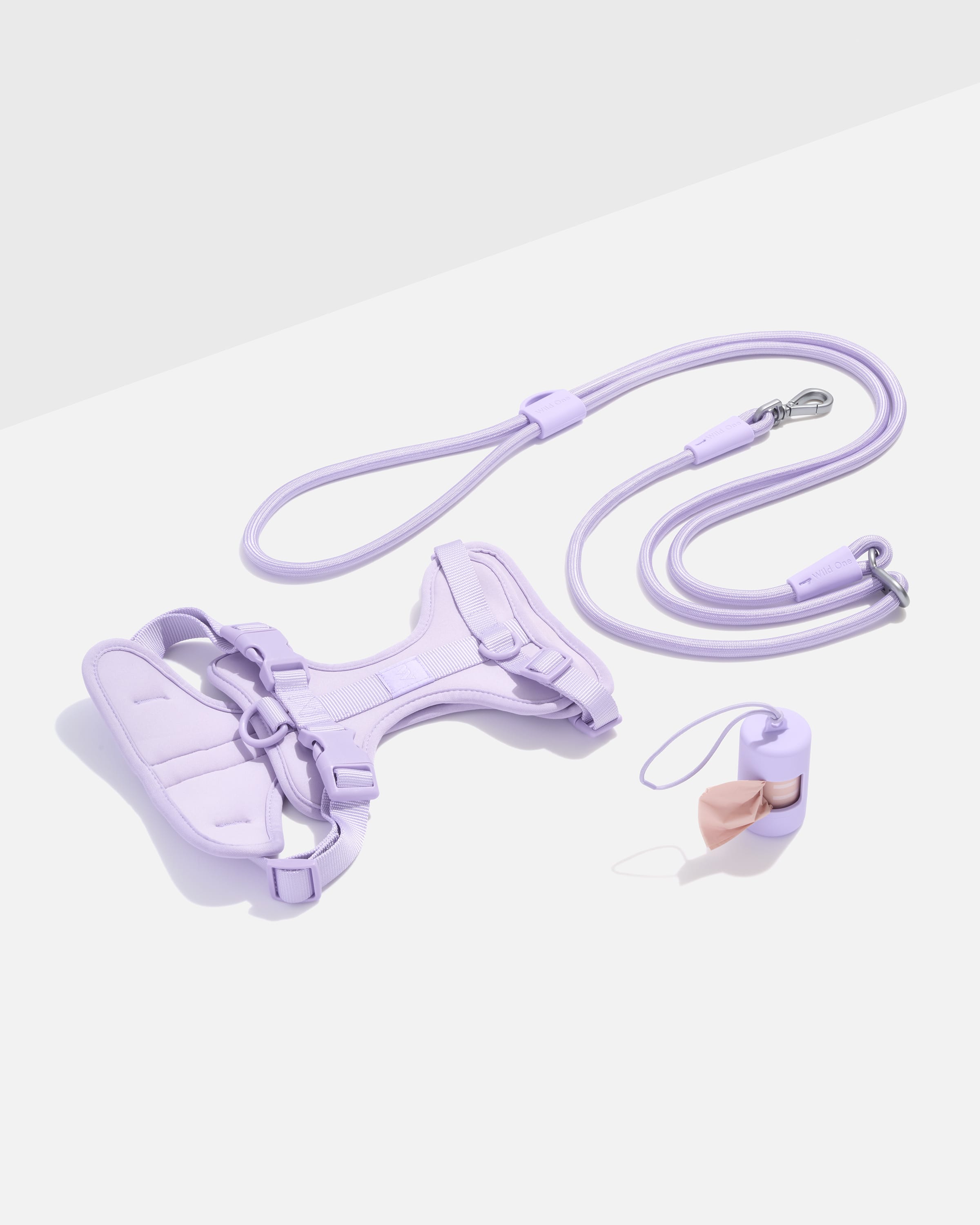 Harness and leash walk kit