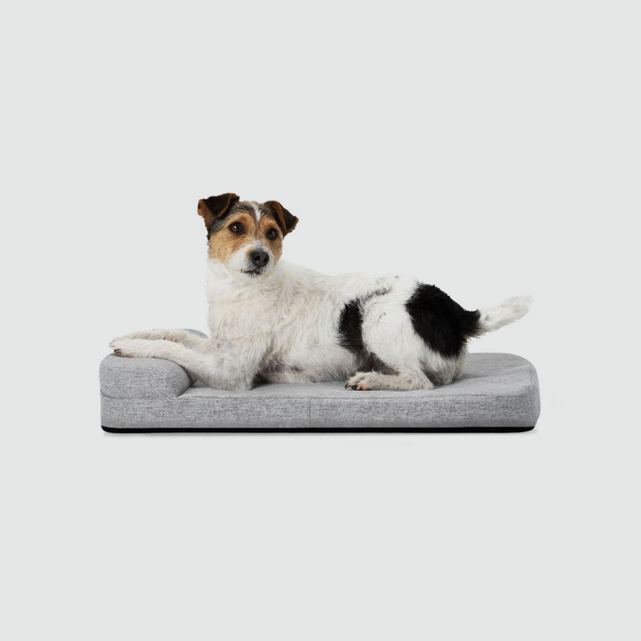 Pet at home with Eastgate gear