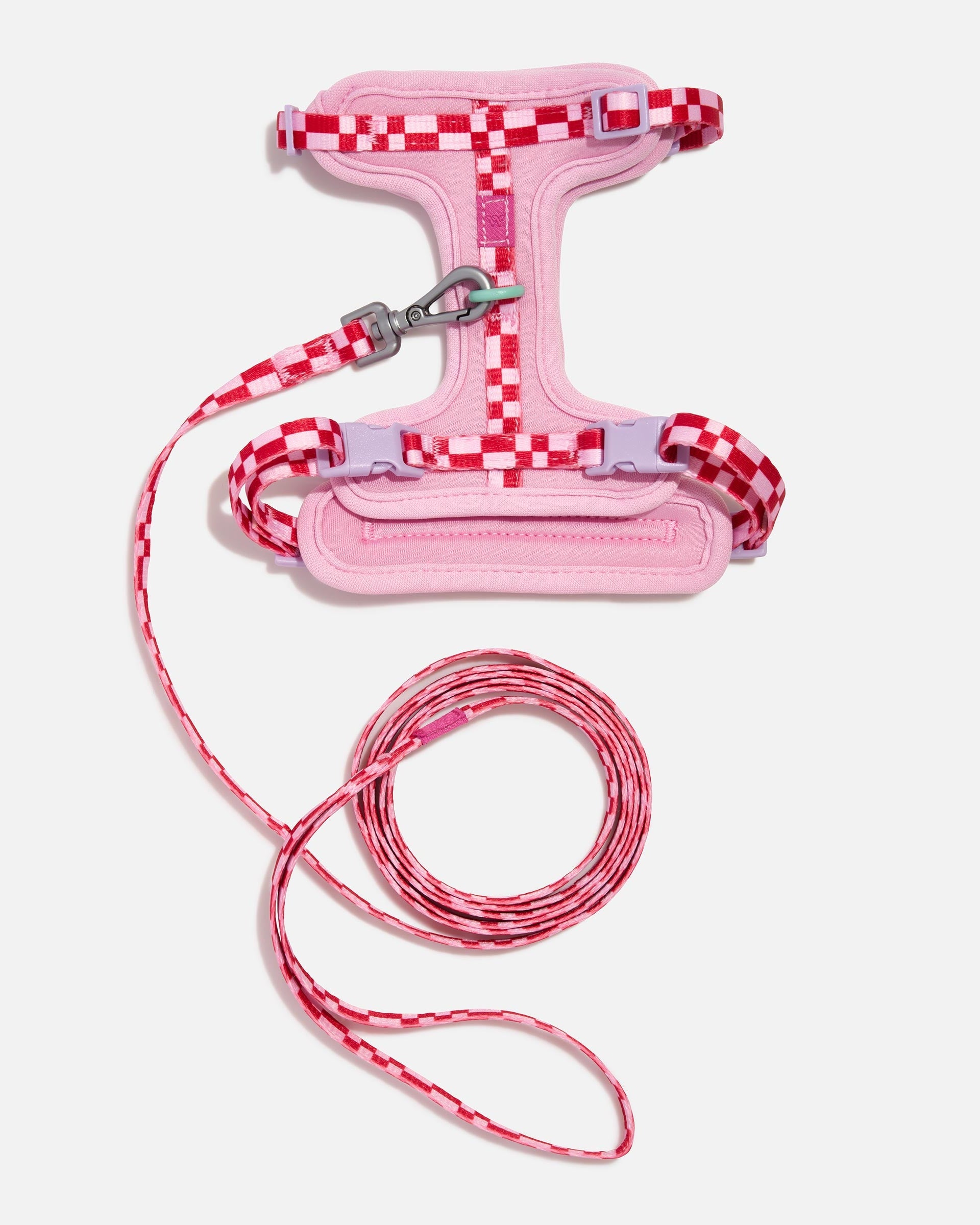 Cat harness and leash