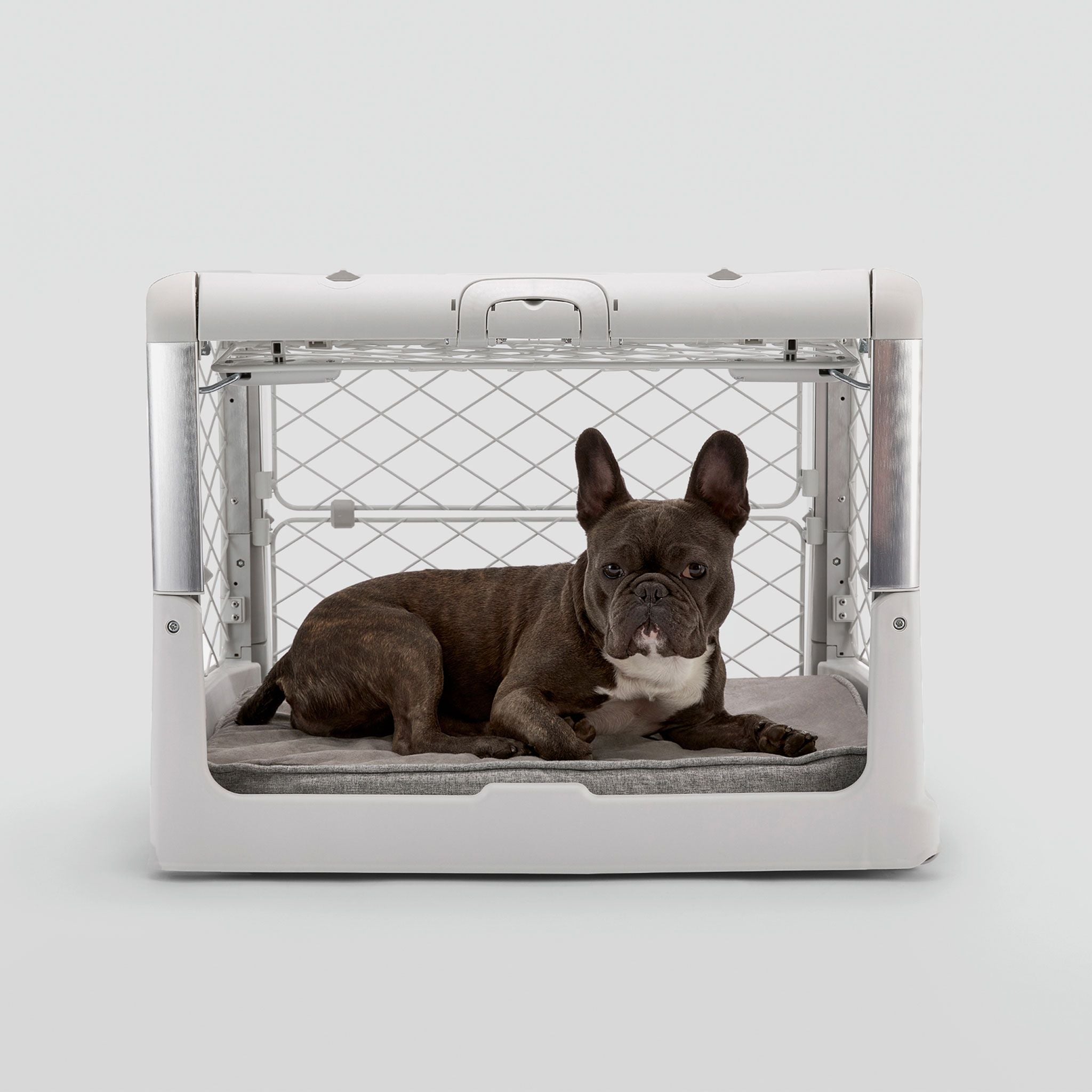 Rescue pet